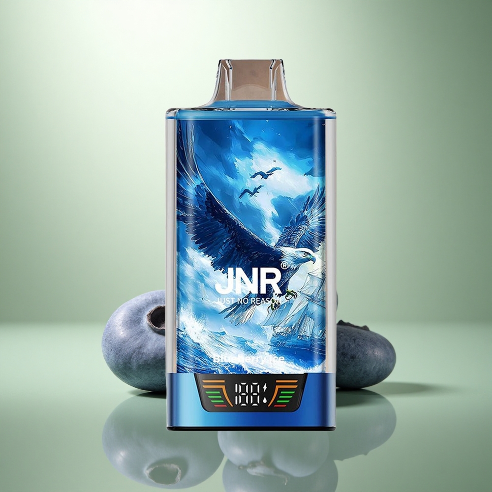 JNR Falcon Pro 28000 Bosbes IJs met Dubbele Mesh en Smart Display JNR Falcon Pro 28000 Bosbes IJs met Dubbele Mesh en Smart Display