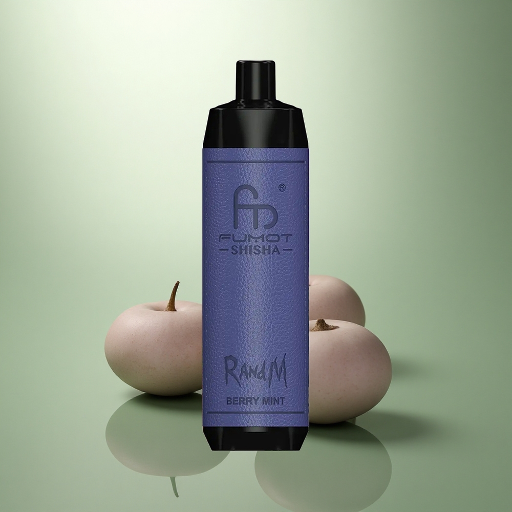 RandM Fumot Shisha 10000 Puffs Bes Mint Type-C LED Mesh Coil RandM Fumot Shisha 10000 Puffs Bes Mint Type-C LED Mesh Coil